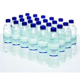 Radnor Bottled Spring Water 500ML (Case 24)