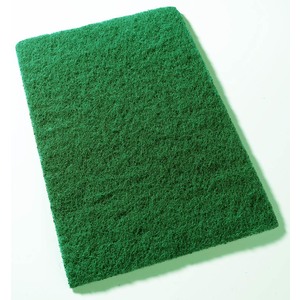 CleanWorks Coloured Scouring Pads Blue (Pack 10)