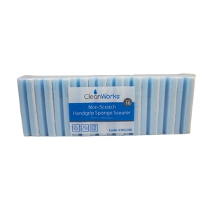 CleanWorks Colour Coded Scourers Blue (Pack 10)