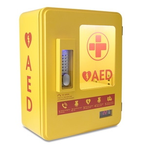 AED Heated Outdoor Wall Cabinet