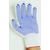 KeepSAFE Pick & Go PVC Dotted Glove