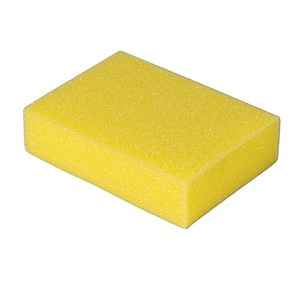 CleanWorks Sponge