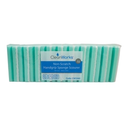 CleanWorks Colour Coded Scourers Green (Pack 10)
