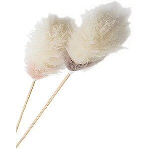 Feather Duster 41"